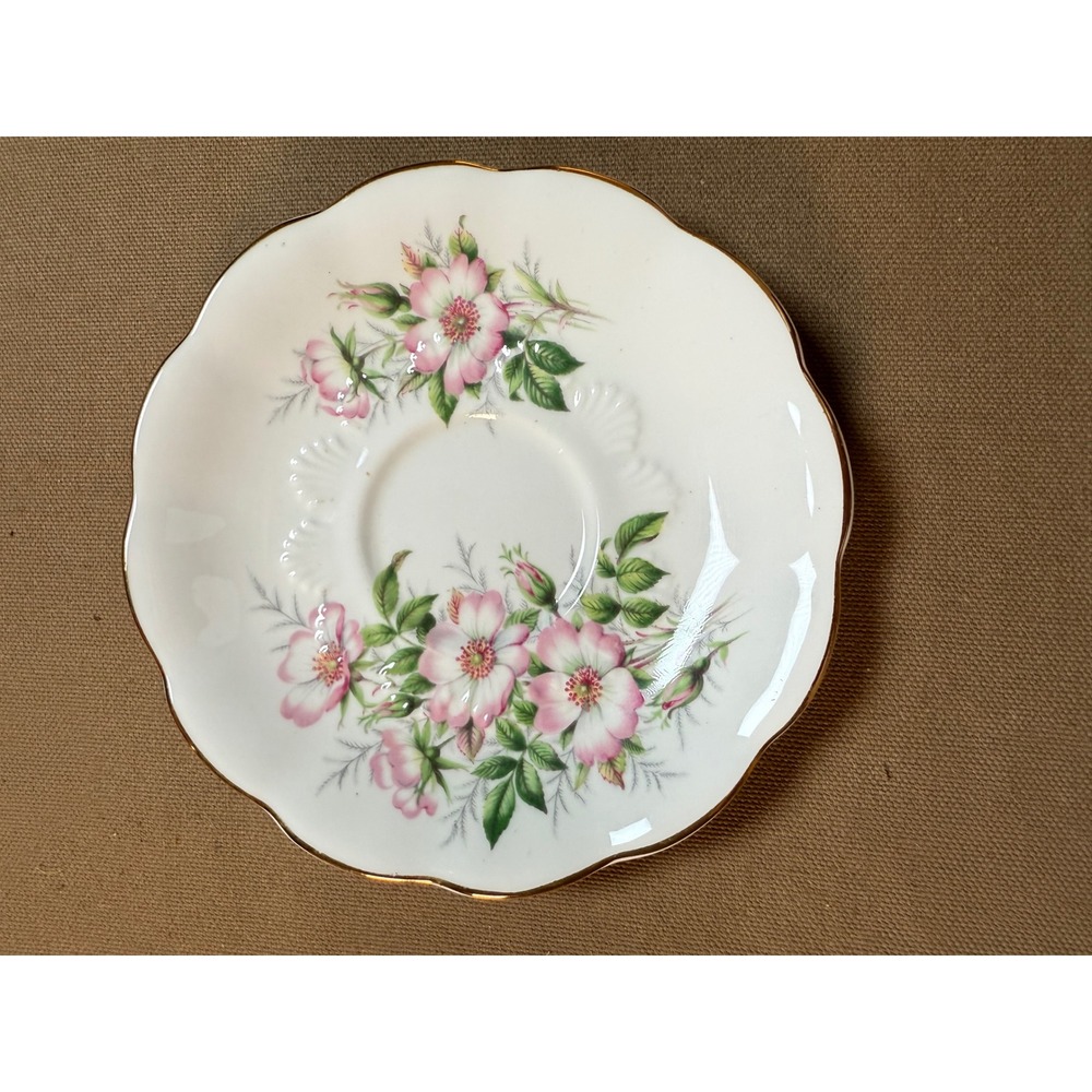 Royal Albert Friendship Series Wild Rose‎ Saucer Bone China Floral Gold Trim